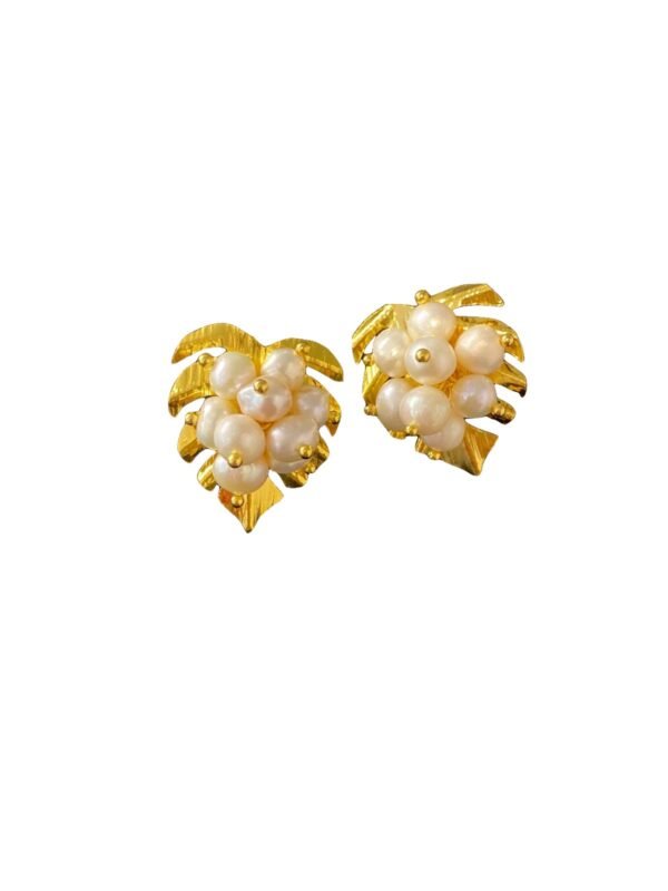 Hibiscos Racimo